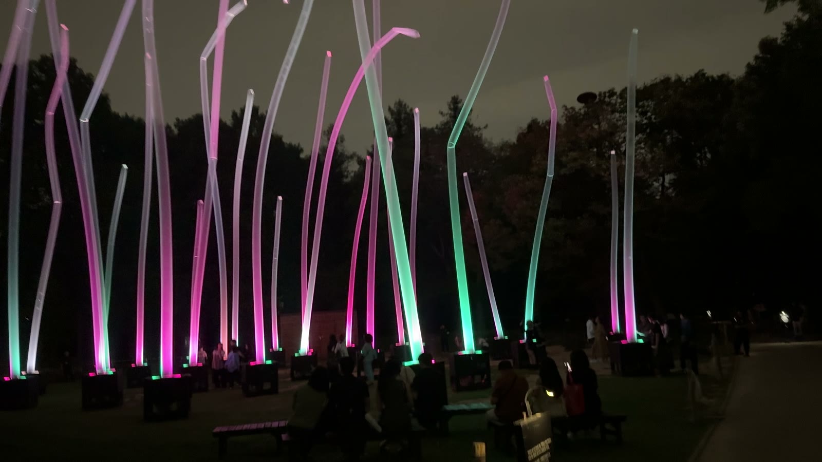 A field of glowing pink and green reed sculptures with visitors watching in silhouette at night